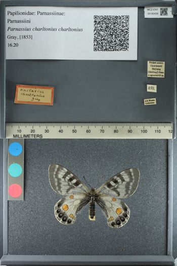 Media type: image;   Entomology 180436
